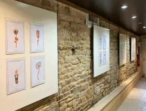 Exhibition “Les petites fleurs de l’Apocalypse (1918-2018)” by Régis Perray – from May to October 2026